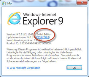 Sharepoint Internet Explorer 64Bit